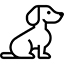 Hund