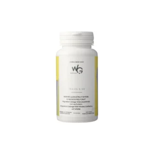 WiseGum TRAVEL & GO – 60 stk