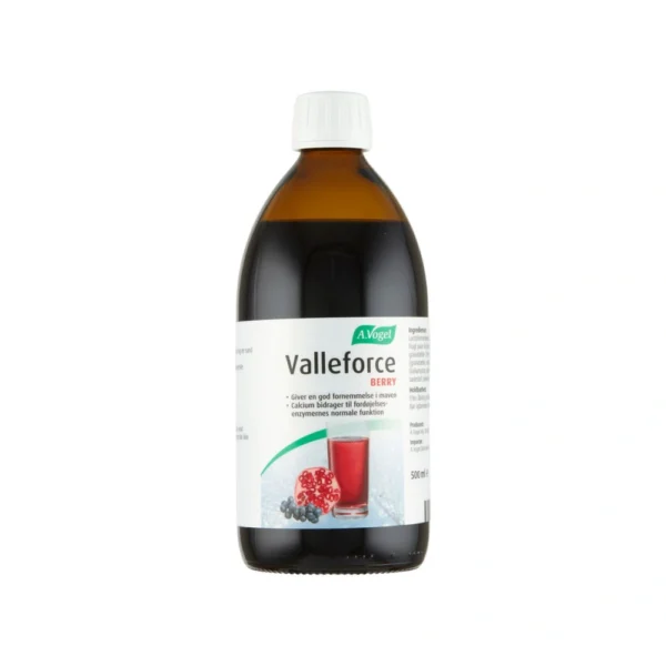 A. Vogel Valleforce Berry – 500 ml
